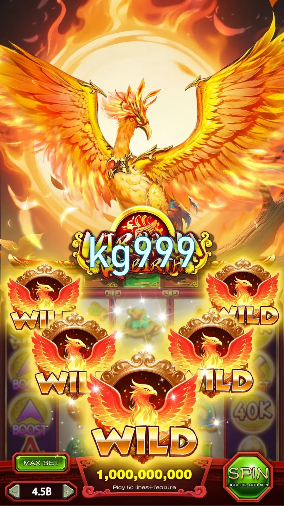 kg999 লগইন